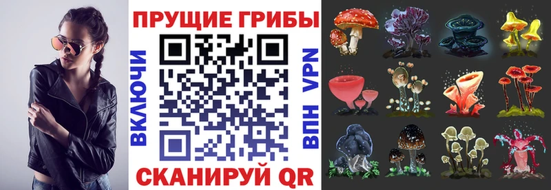 где найти наркотики Канаш Псилоцибиновые грибы мухоморы