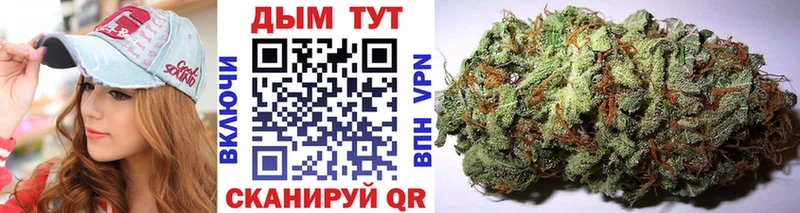 Шишки марихуана OG Kush  хочу наркоту  Канаш 